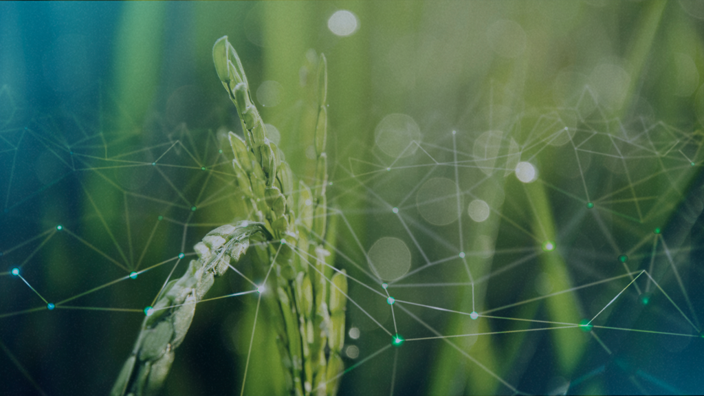 Agro 5.0: Inovação, integração e os desafios da gestão de TI